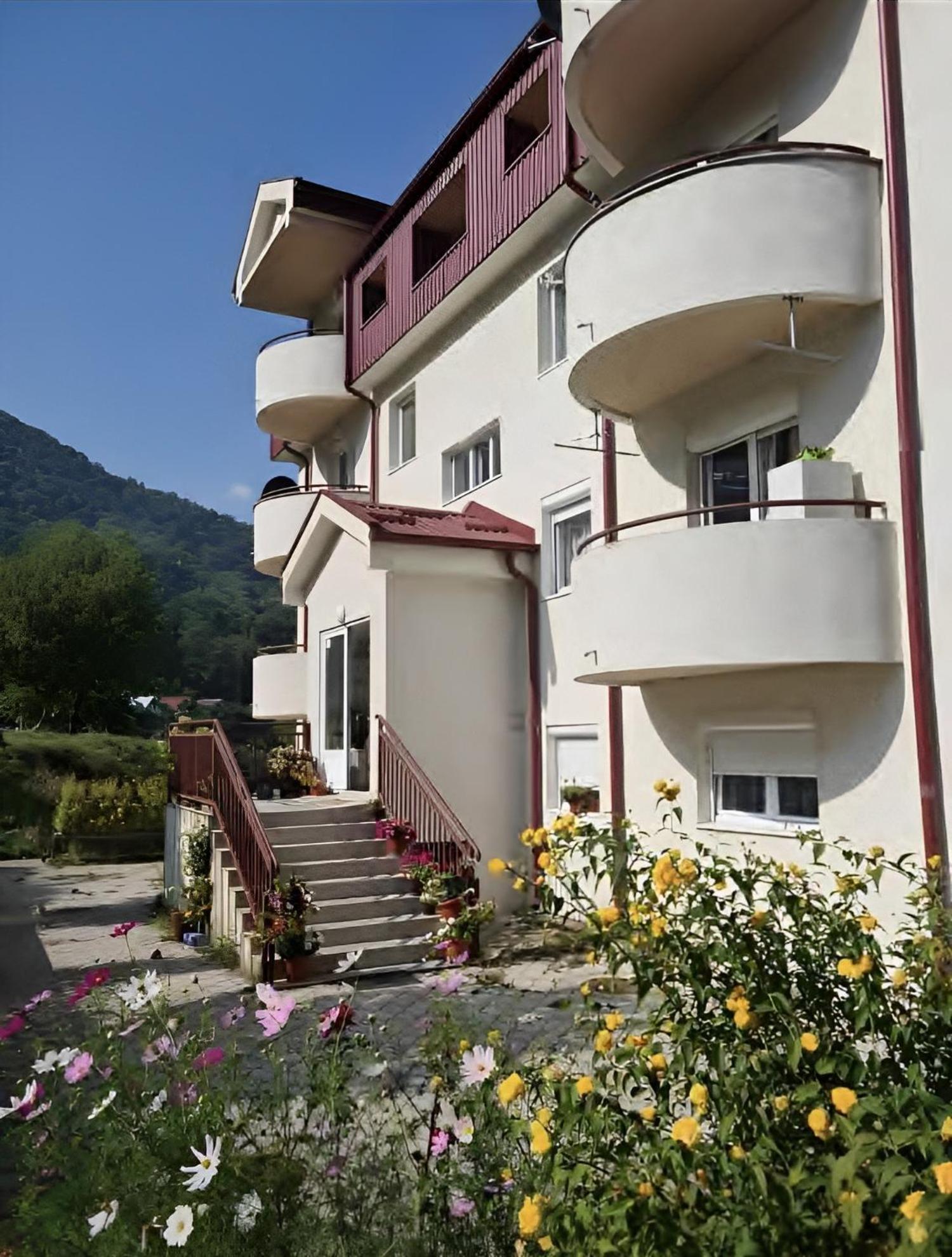 Zora Apartment Plužine Exterior foto